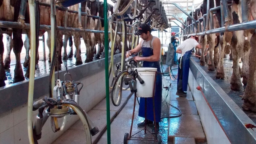 La calidad del agua, fundamental en los tambos