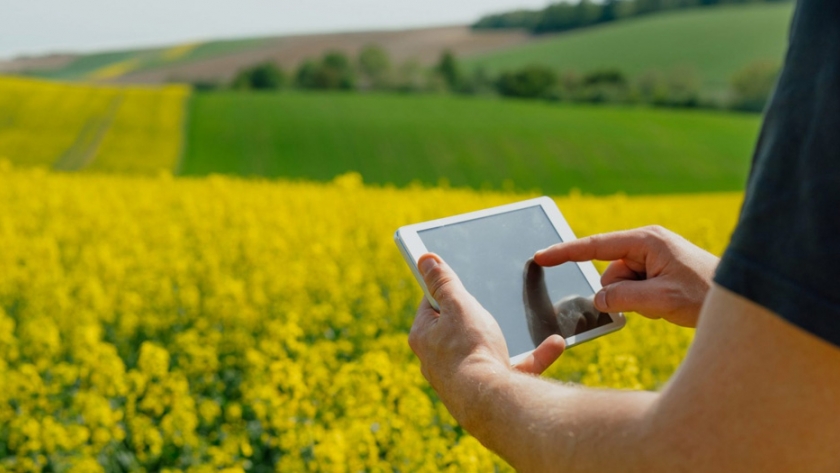 El impulso por más tecnología, conexión e innovación en la agroindustria
