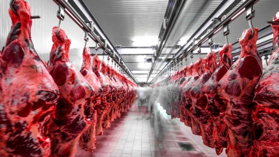 La Mesa de Enlace de Santa Fe ante la suspensión de exportaciones de carne