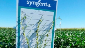 Alianza para mejorar la calidad nutricional de la soja y recuperar el mercado ganadero