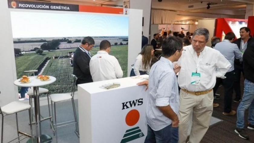 Reconocimiento de KWS al compromiso de los distribuidores