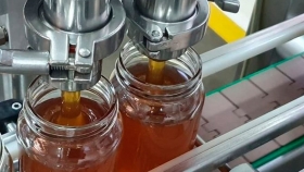 Desarrollo apícola: Producción expuso sobre certificación orgánica de la miel en Chaco