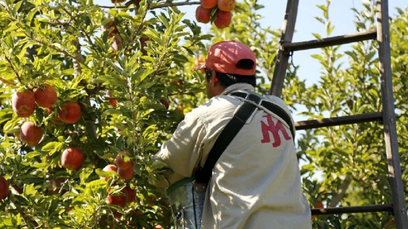 Se ponen a disposición líneas de financiamiento para productores frutícolas