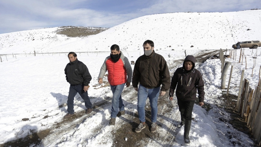 El gobierno provincial realiza otra entrega de leña a productores de Cushamen afectados por la contingencia climática 