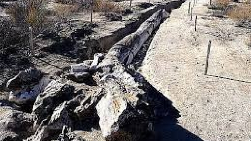 Experiencias: Bosque Petrificado de Valcheta