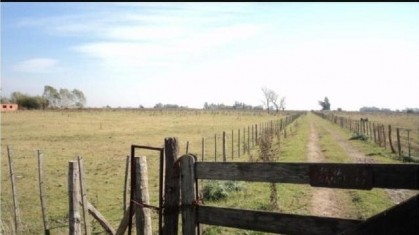 Nueva suba en la actividad inmobiliaria rural