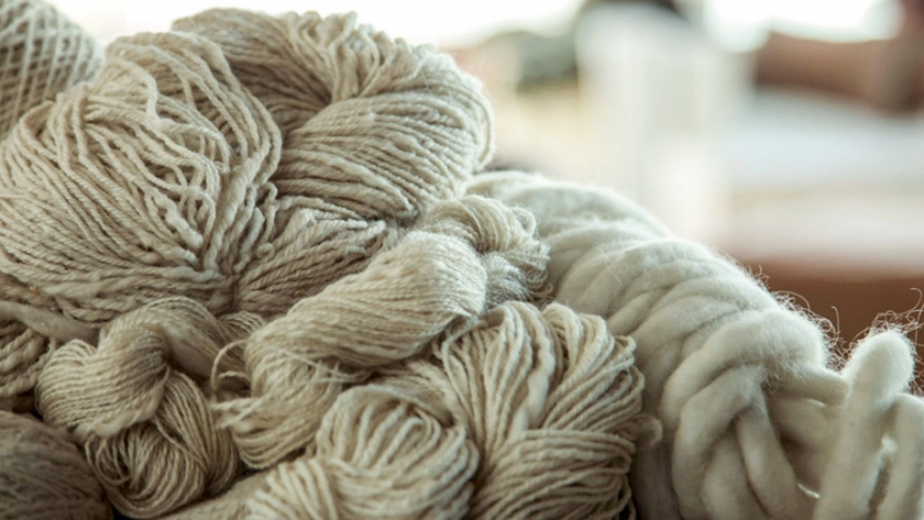 El gobierno de la provincia asistió a productores ovinos chubutenses en la venta de lana de fibra mohair