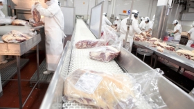 Argelia abre el mercado de carne bovina fresca envasada al vacío para la Argentina