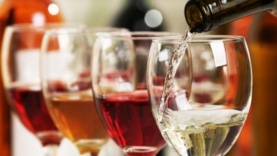 Comienzan las catas virtuales de vinos sanjuaninos