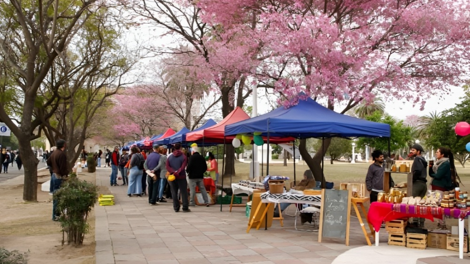 Feria de emprendedores reunió a Intendente Alvear