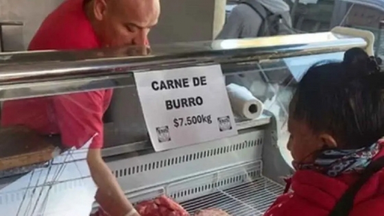 Carne de burro: una prueba piloto en la Patagonia se agota en horas y abre debate sobre nuevas alternativas de consumo