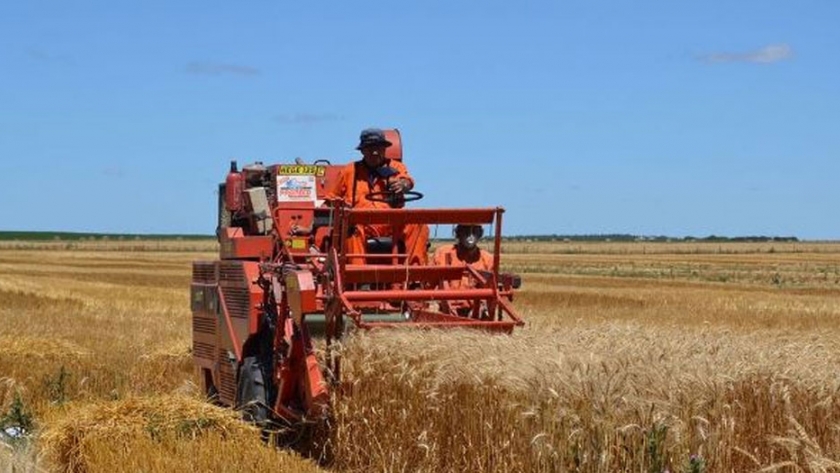 Las actividades agropecuarias, de la pesca, de la industria alimentaria y forestal, deberán tramitar el CUHC