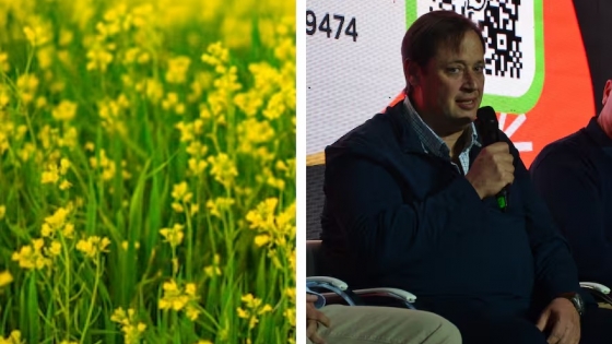 Argentina: la camelina y la revolución de los biocombustibles para la aviación