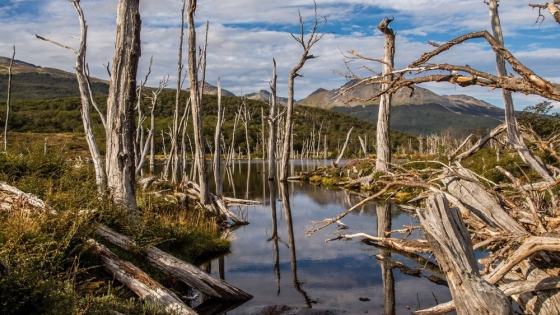 <5 destinos naturales del sur de la Argentina imperdibles