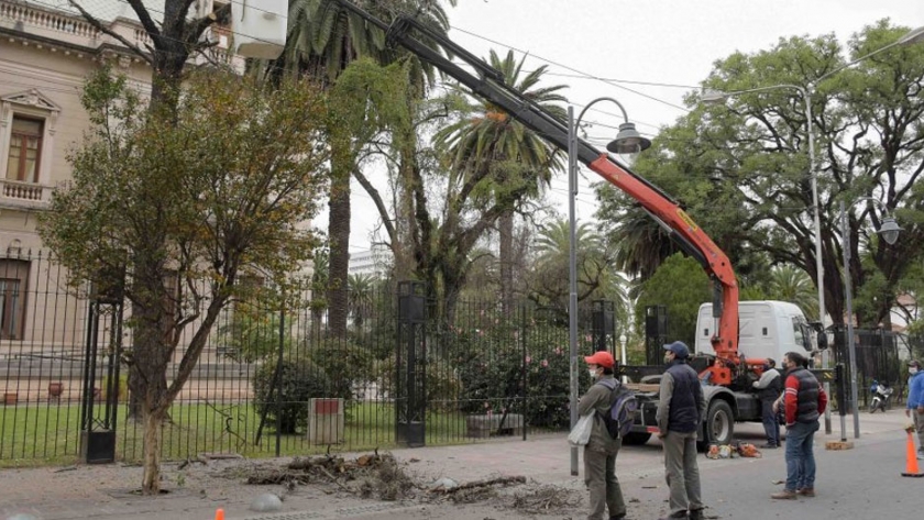 Trabajos de mantenimiento y preservación en Casa de Gobierno