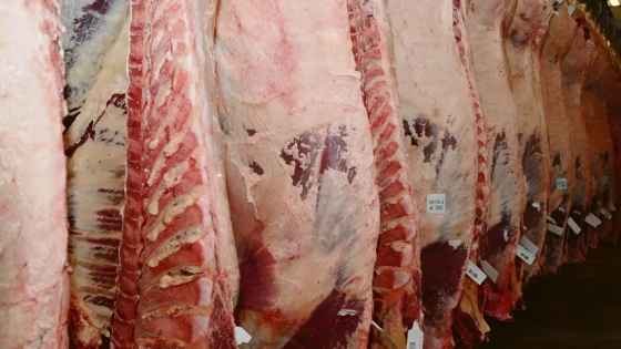 Las exportaciones de carne en Argentina alcanzan cifras récord a pesar de la caída de precios