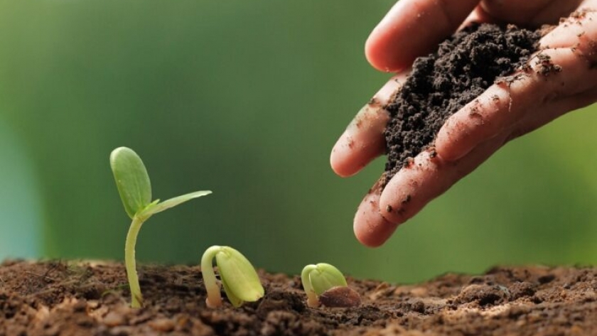 Pensar en la degradación de tierras, un avance para ser más sustentables