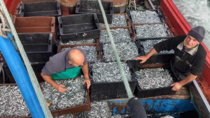 Malestar en la banquina chica. El cornalito divide aguas entre participantes