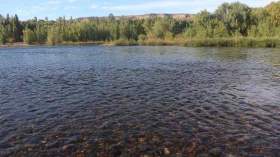 Más de 40 balnearios para disfrutar este verano en Río Negro