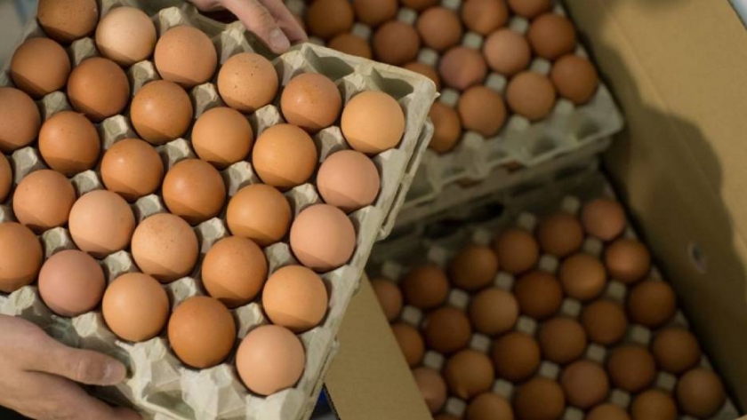 Producción avícola: desde CAPIA consideran que el aumento salarial del 40% es forzado