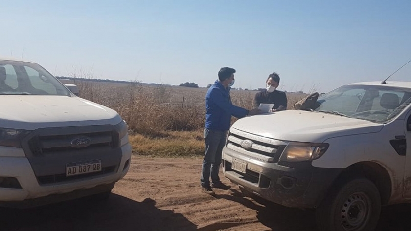 Plaga de langosta: realizan aplicaciones para su control en el norte provincial