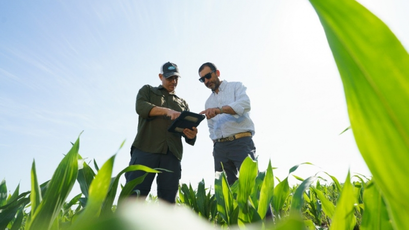 Con tecnología: el ejemplo del productor que planificó la fecha de siembra para no perder hasta 1,3 toneladas por hectárea a la semana y lo nuevo que hay en maíz y girasol