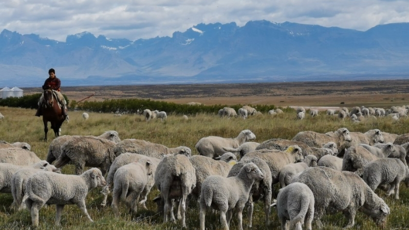 Productores de la Patagonia reciben los primeros pagos por créditos de carbono
