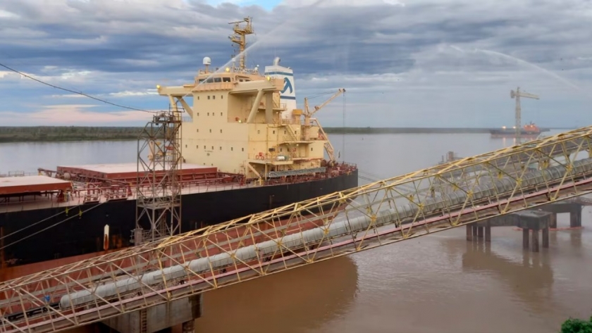 Argentina volvió al primer lugar en el mercado de harina de soja