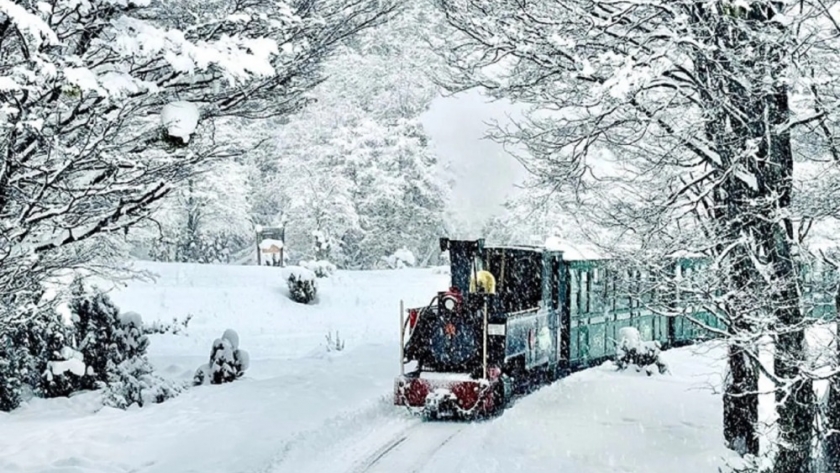 Los maravillosos trenes turísticos de Argentina, entre la nieve o las nubes: cuánto salen los pasajes