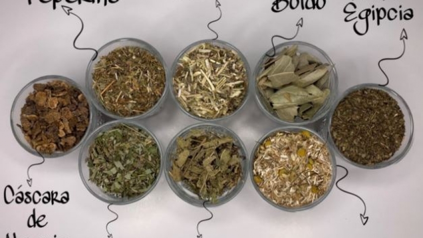 Plantas aromáticas y medicinales: una encuesta del INTA reveló cuáles son las más consumidas