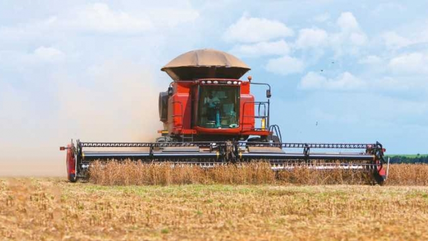Agroindustria: un sector castigado por las regulaciones