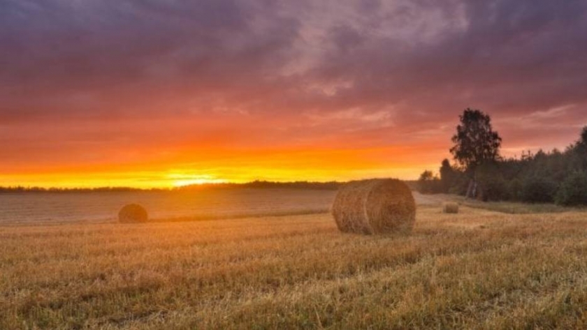 Cambio climático: un revés para el Reino Unido 