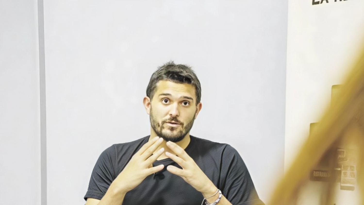 Misiones profundiza la restauración de los yerbales y apuesta a un modelo productivo sustentable