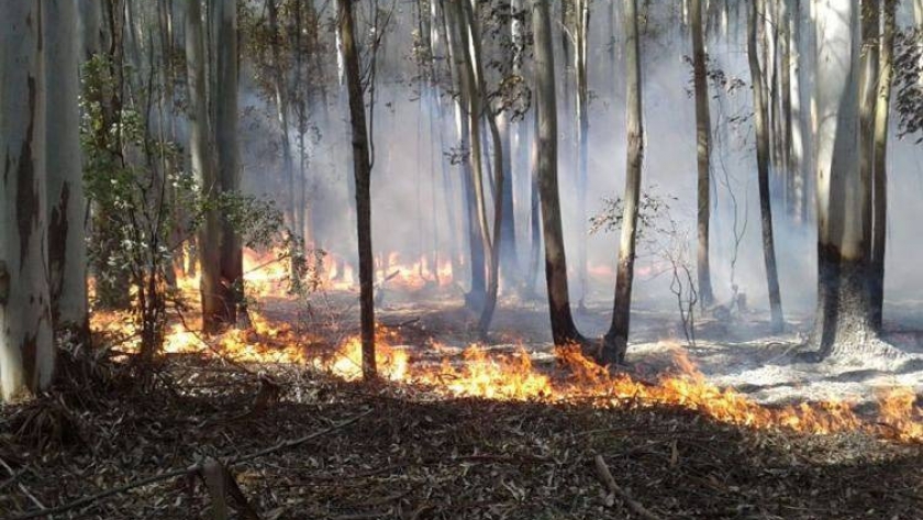 Producción participó durante tres días de una capacitación virtual sobre el Índice Meteorológico de Peligro de Incendios (FWI)
