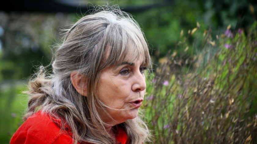 El auge del té gourmet en Misiones: la productora que impulsa la transformación del sector tealero