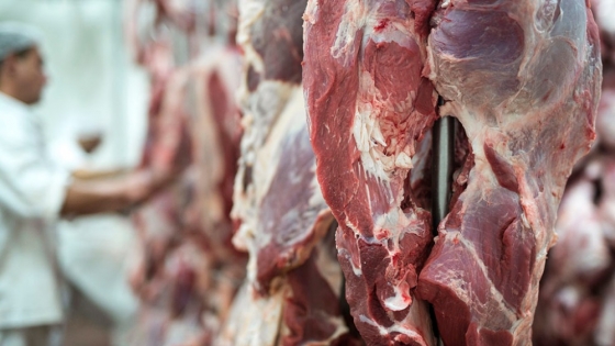 La carne podría subir hasta 15% entre febrero y marzo por retención de hacienda y firmeza del mercado