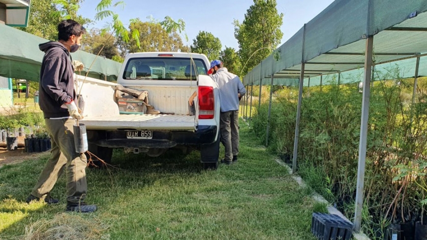 El Parque de la Biodiversidad donó 50 árboles para forestar Anchipurac