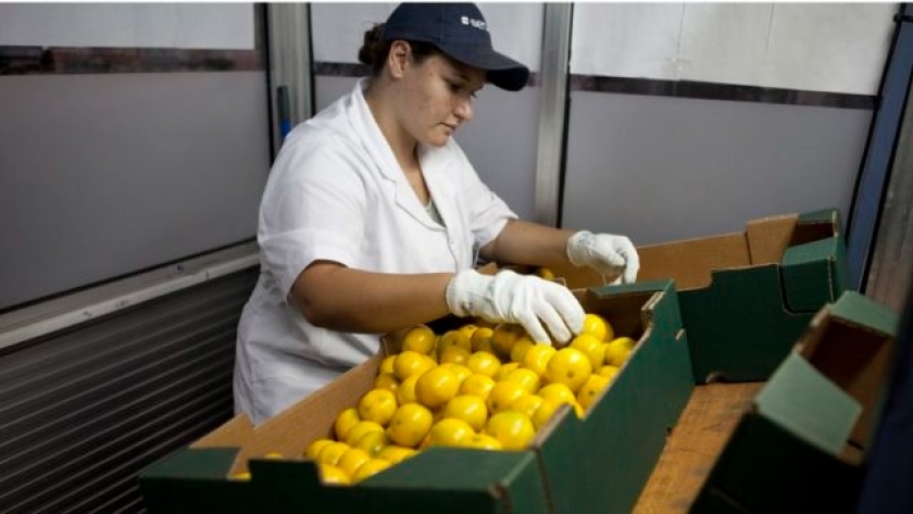 El Gobierno hace una desregulación histórica en la industria de frutas