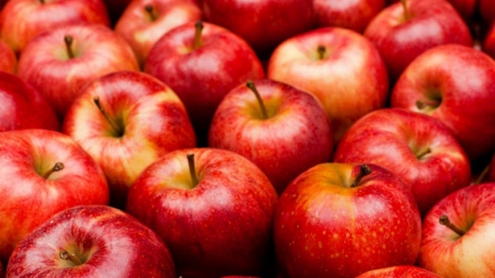 Las manzanas polacas en América Latina son una «historia de éxito»