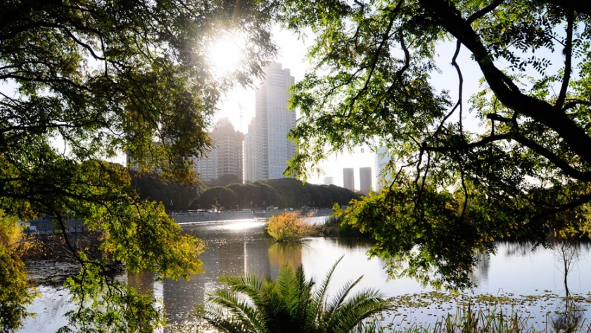 Un oasis porteño a minutos del Obelisco 
