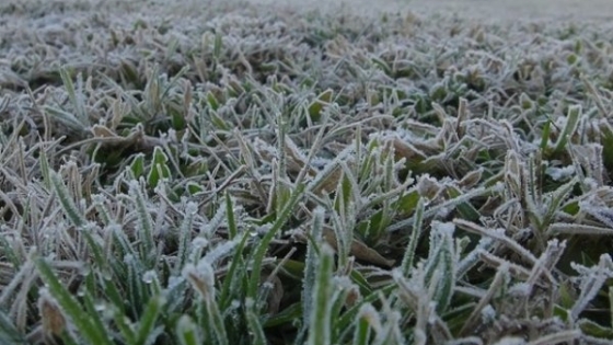 Frío extremo en Formosa: rige alerta naranja y amarilla por bajas temperaturas