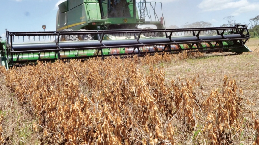 El país requiere de independencia tecnológica en agricultura, pero sin politizarla