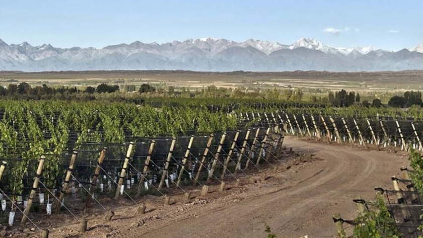 Mendoza, uno de los destinos más codiciados para viajes de incentivo