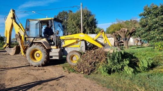 Avanzan los operativos de limpieza en Rafael Obligado para mejorar el entorno urbano