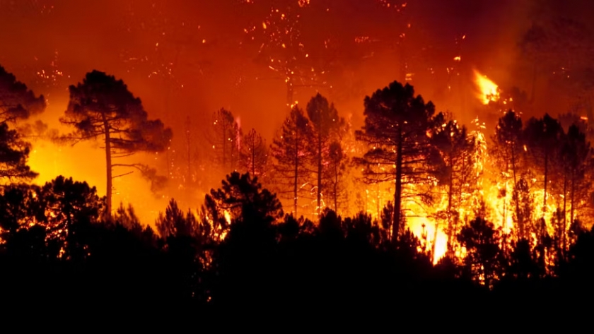 Incendios forestales: entre la desidia y los recortes, el fuego avanza en la Patagonia y el Delta