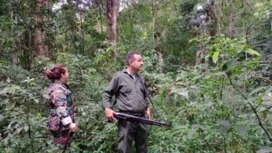 Áreas naturales protegidas: abril cerró con fuertes operativos contra cazadores furtivos en Misiones
