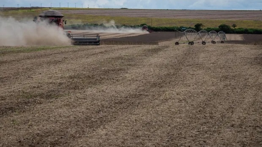 Líderes de los agronegocios cuentan sus planes y perspectivas para la campaña agrícola 2024/25