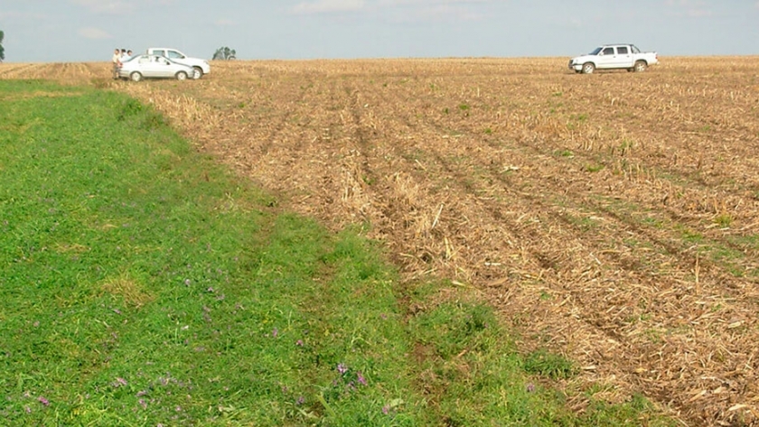 Aapresid festejó 30 años y planteó la visión de la agricultura siempre verde