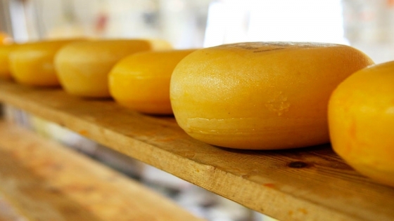 De venderle a los mejores restaurantes a hacer un "queso solidario" 