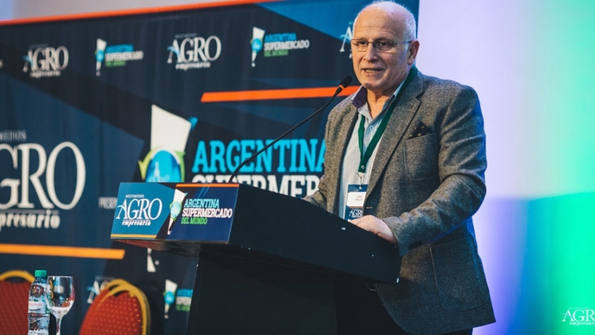 José Brillo: 